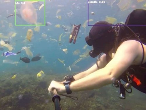 Diver using specialised detection equipment surrounded by fish